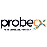 PROBE Group Business Logo